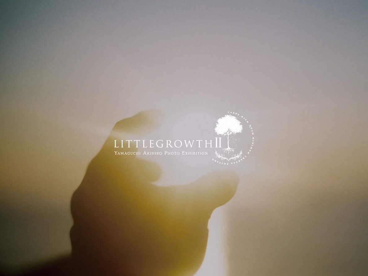 LITTLEGROWTH II