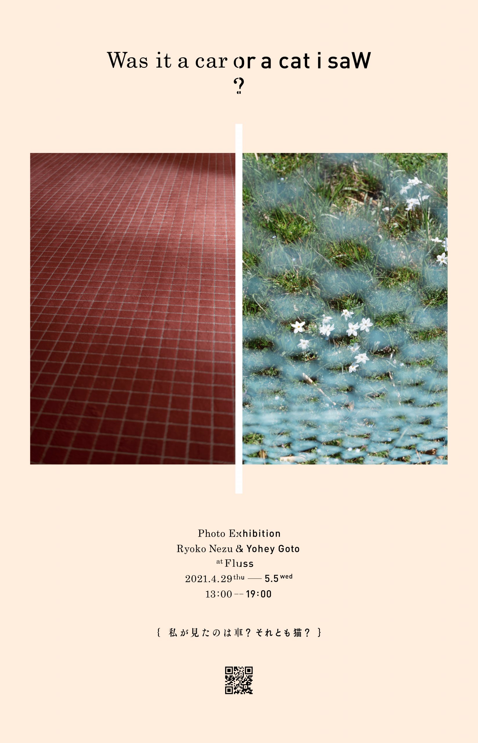 Was it a car or a cat I saw?